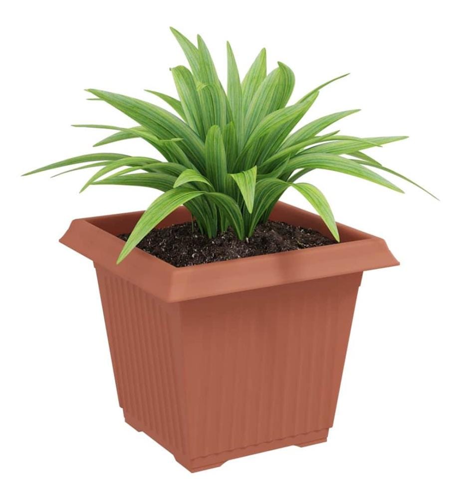 vidaXL Pot de Fleurs Carré 6 pcs Rouge brique 20 x 20 x 16 cm