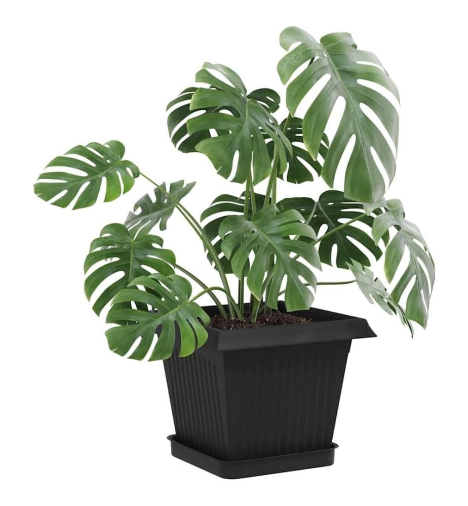 vidaXL Plateau carré à fleurs 6 pcs Noir 15 x 15 x 2 cm Plastique