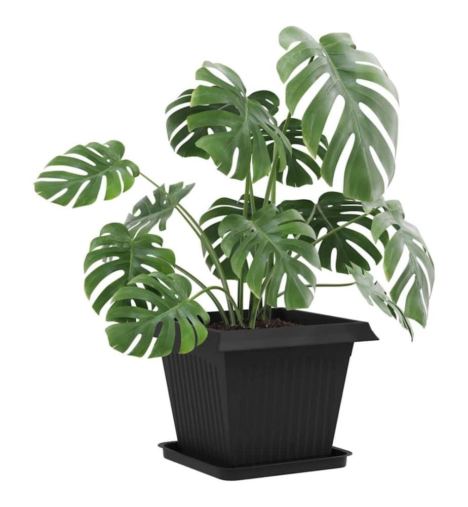 vidaXL Plateau carré à fleurs 6 pcs Noir 36 x 36 x 2.5 cm Plastique