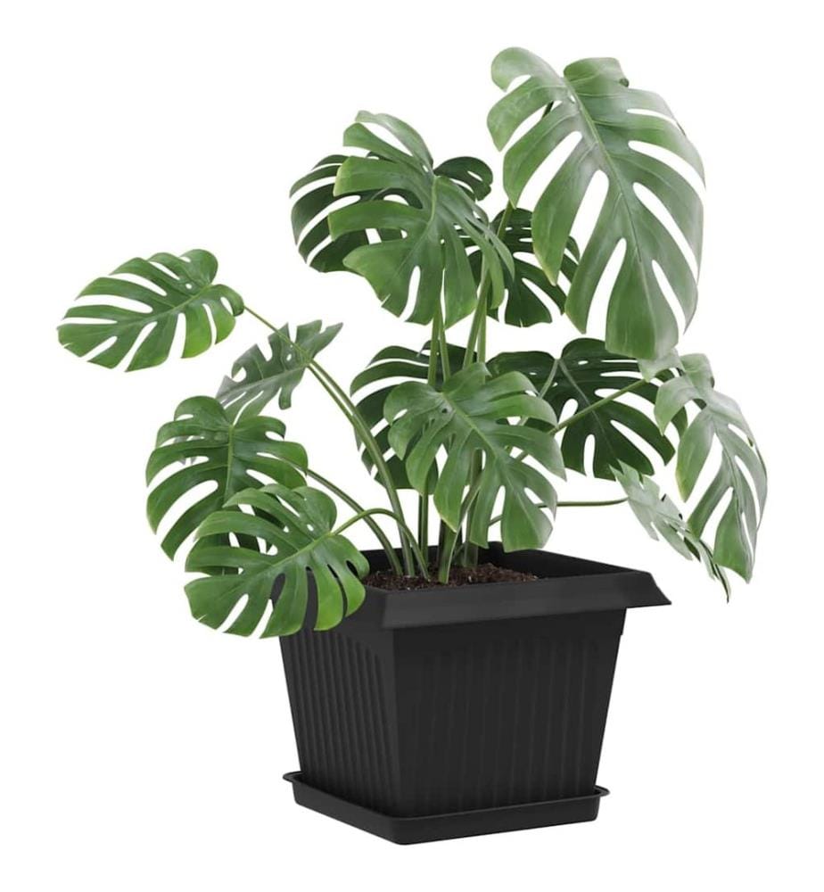 vidaXL Plateau carré à fleurs 24 pcs Noir 18 x 18 x 2 cm Plastique
