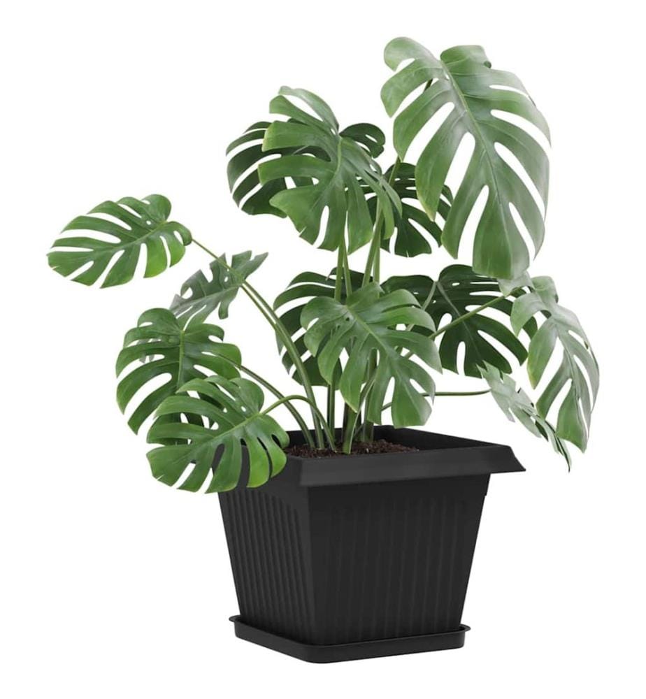 vidaXL Plateau carré à fleurs 24 pcs Noir 21 x 21 x 2 cm Plastique