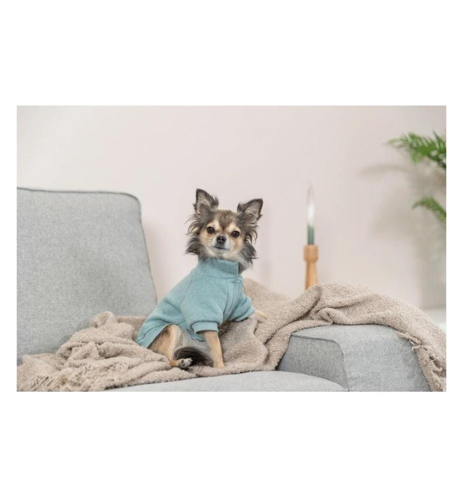 TRIXIE - Pullover Littleton XS, 27 cm, Mint
