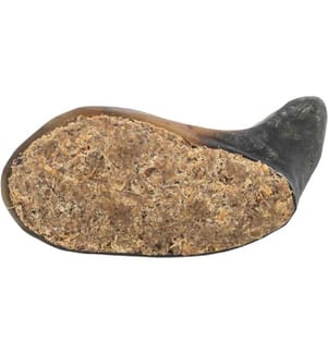TRIXIE - Produit à mâcher  Corne de buffle 10-14 cm