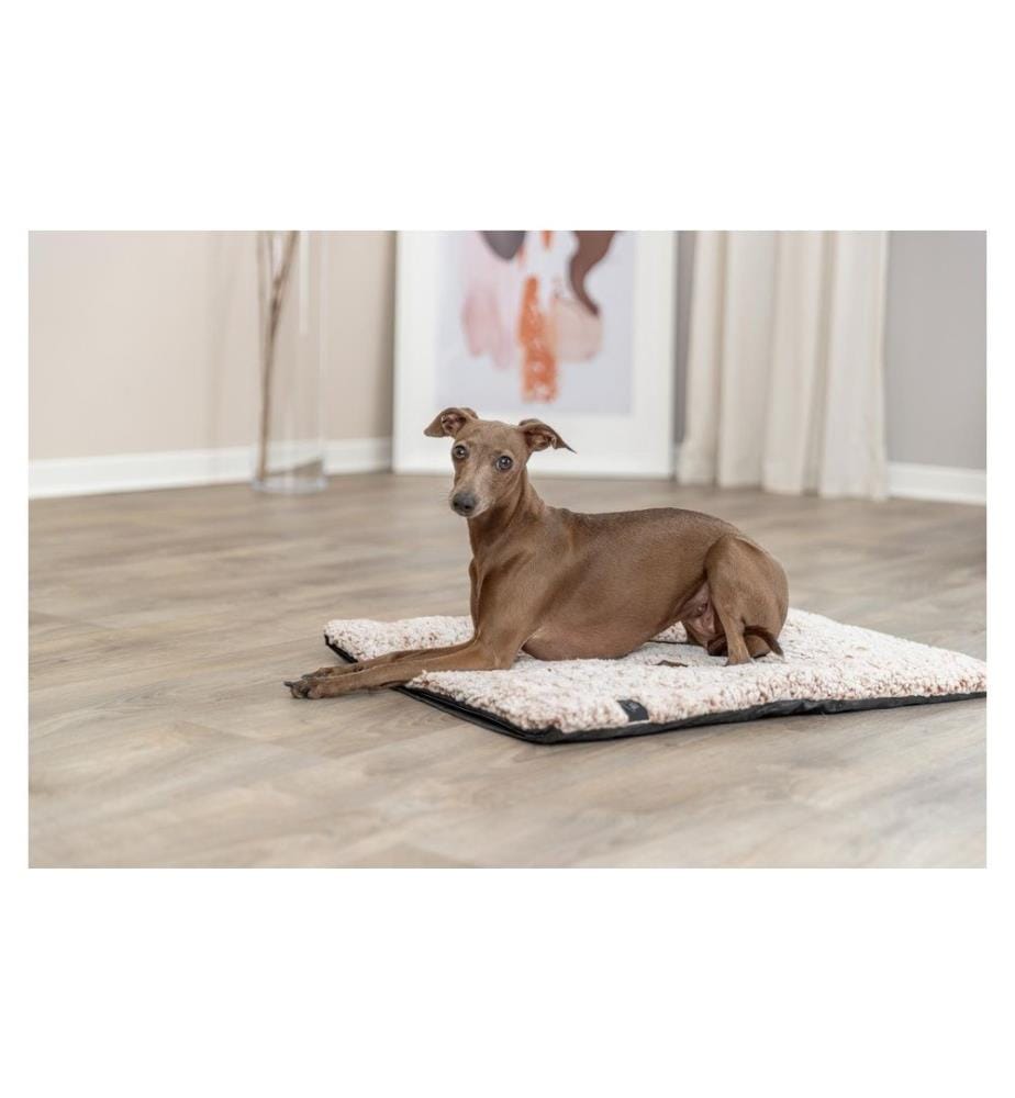 TRIXIE - Hunde-Liegematte Calida 60 cm x 45 cm