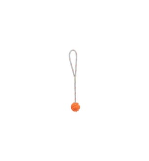 TRIXIE - Schwimmspielzeug Aqua Toy Ball am Seil, ø 4.5 x 35 cm