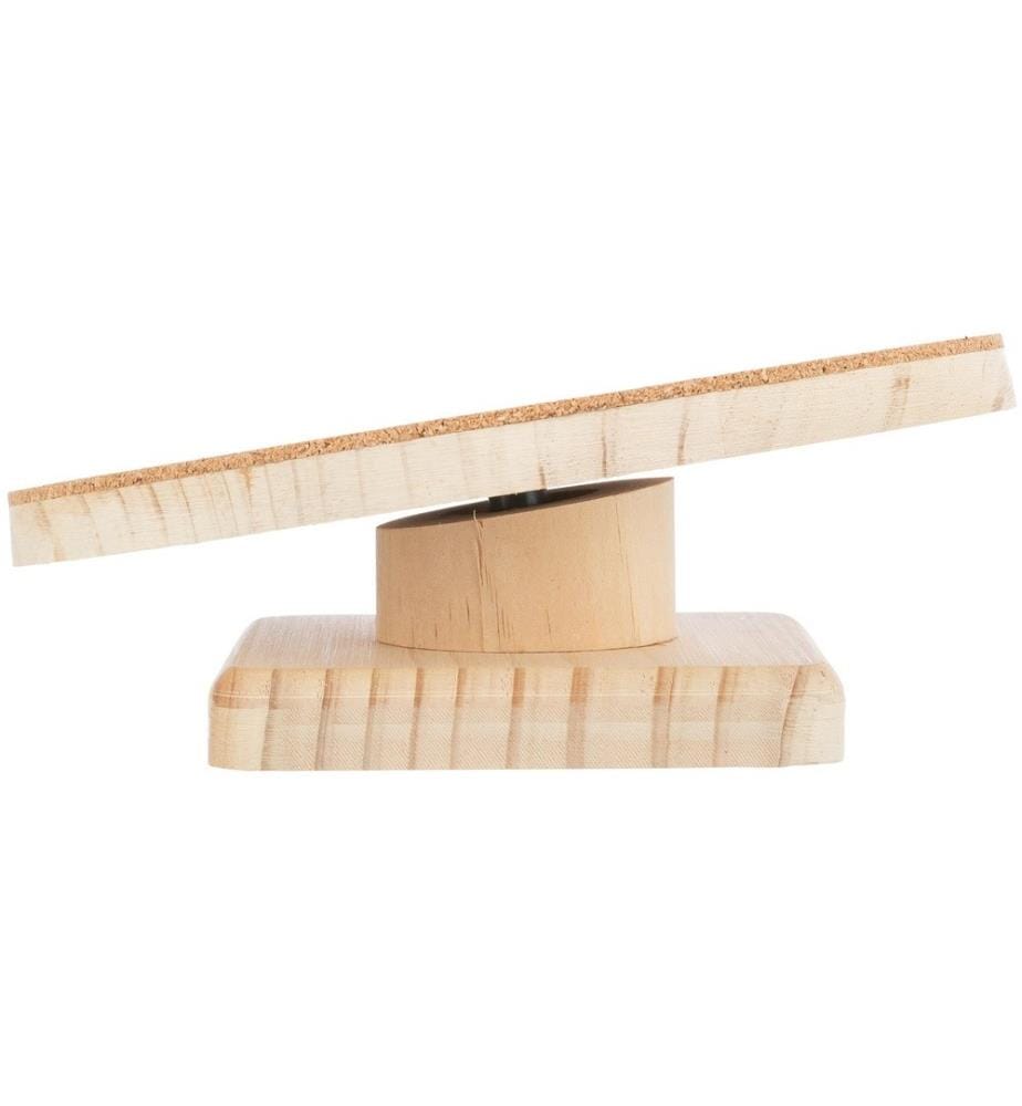 TRIXIE - Disque d'exercice ø 22 cm