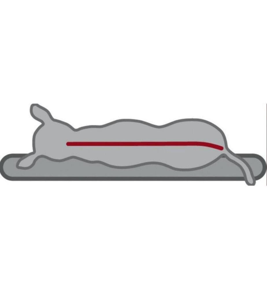 TRIXIE - Coussin Vital Bendson 80 x 60 cm