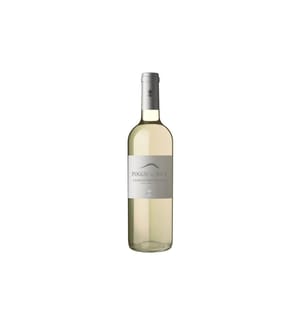 Poggio al Sole Sangiovese Bianco 2024 - 75 cl