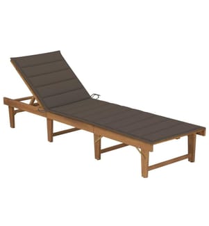 Sdraio pieghevole con cuscino Legno di acacia solido