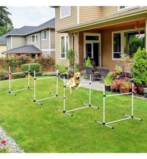 Set de haies et slalom Agility avec 4x haies