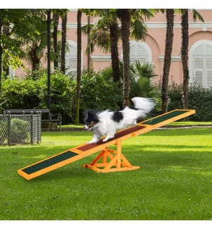 Bascule pour chiens Agility Bascule 180 cm jusqu'à 50kg