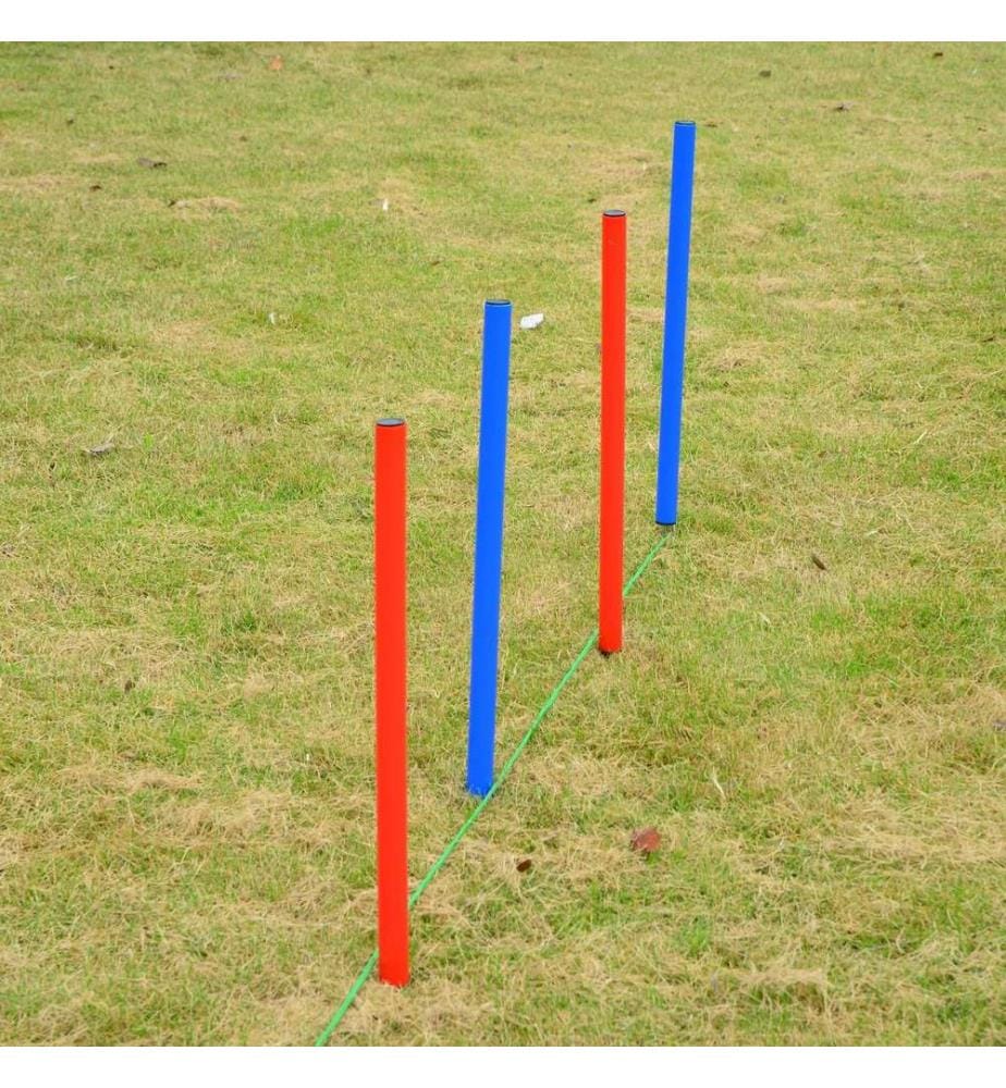 Agility Hundetrainingsset Slalom Hürde Sprungring inkl. Tasche