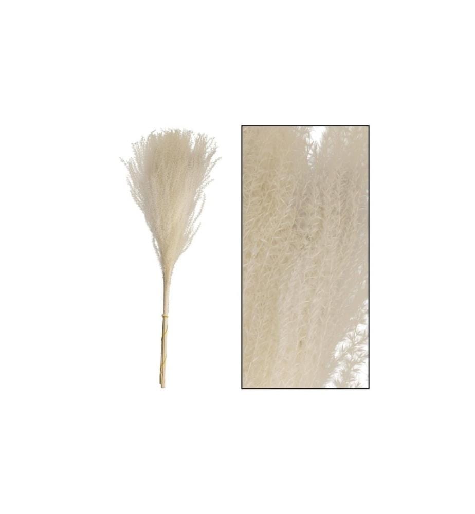 CHALET - Fleurs séchées Herbe à miscanthus 10 pièces, Blanc