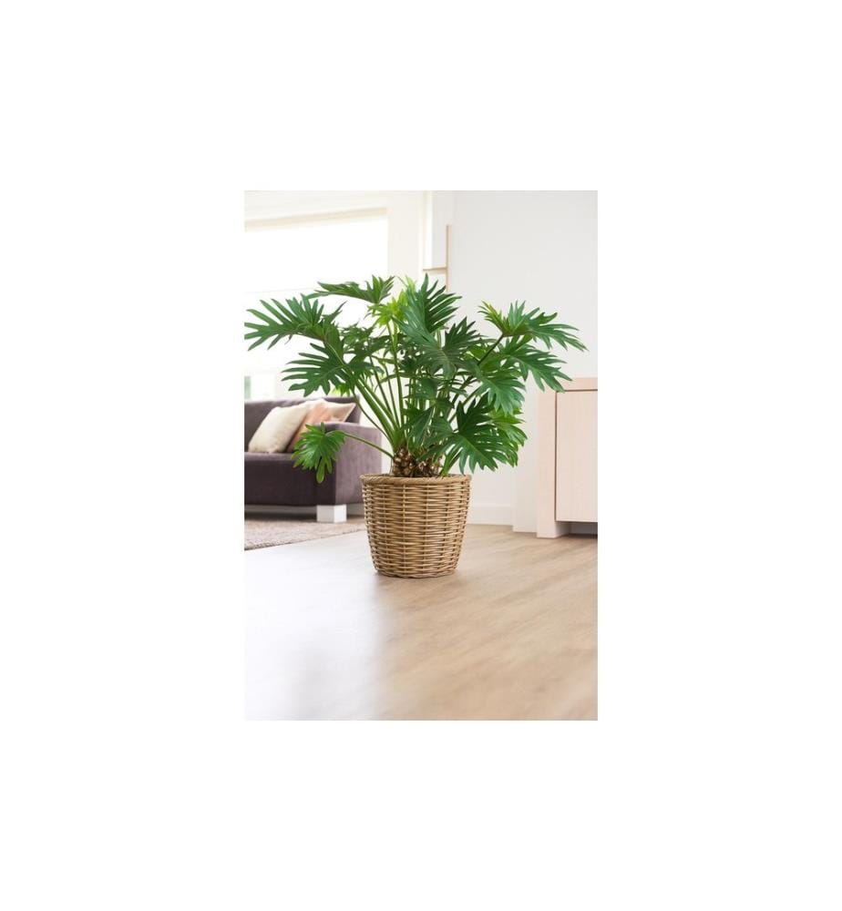 CHALET - Pot de plantes Panier CHALET - XL 44 cm, Nature