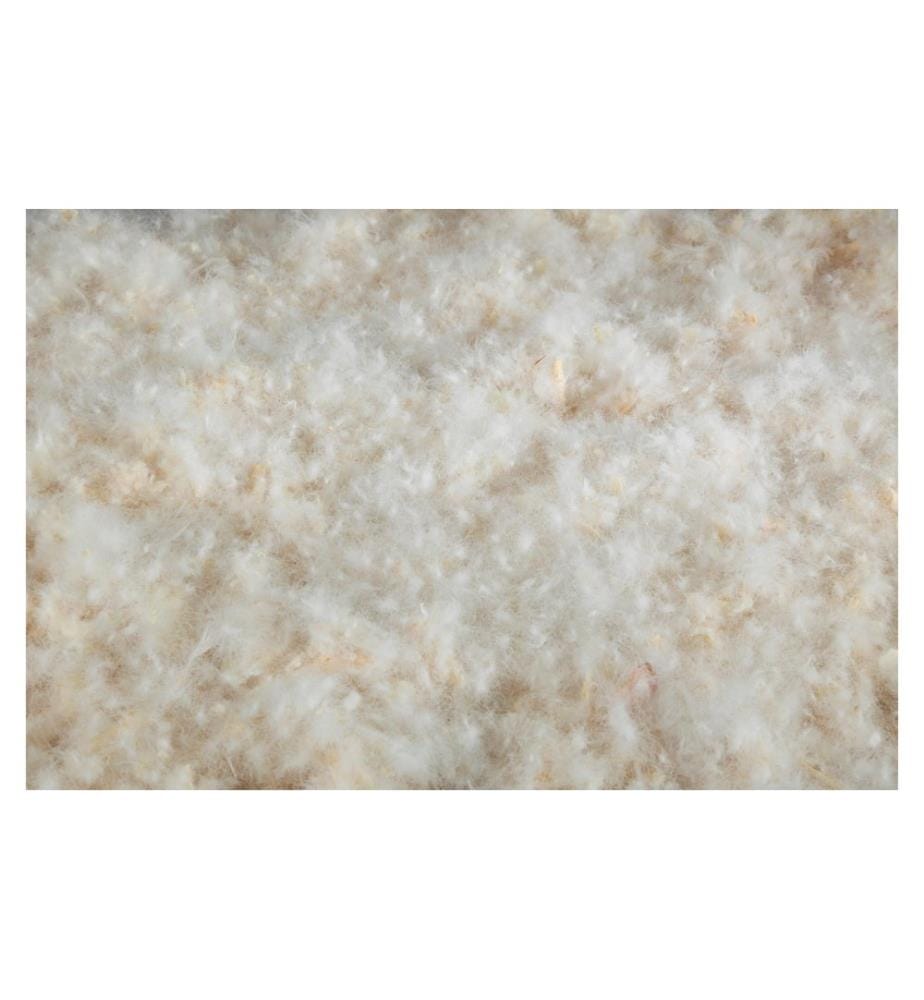 ALBIS - Oreiller classique Arolle 200 Taille: 65 x 65 cm