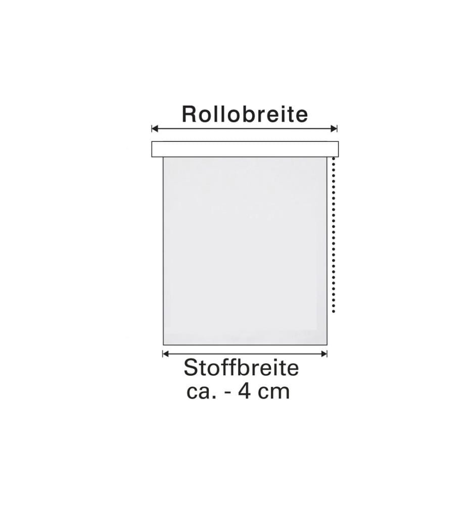 GARDINIA - Rollo Lichtdurchlässig 100 x 160 cm, Weiss