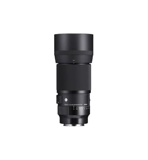 SIGMA - Longueur focale fixe 105mm F/2.8 DG DN Macro Art – Sony E-Mount