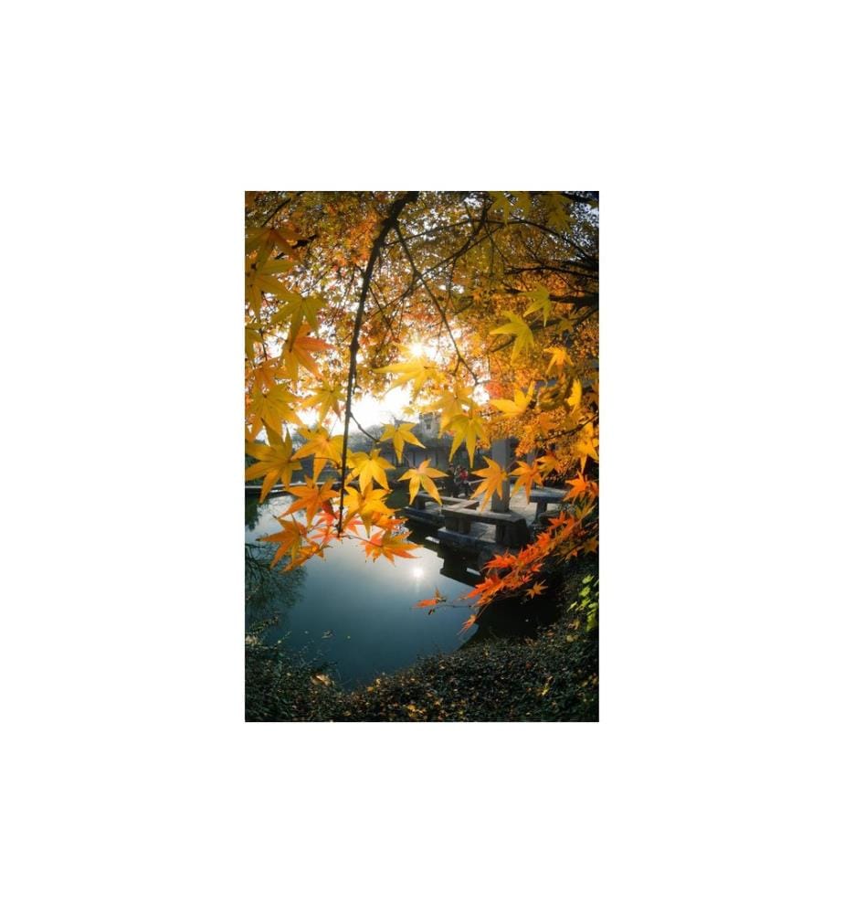 7ARTISANS - Festbrennweite 7.5mm F/2.8 Fisheye Mark II – Sony E-Mount