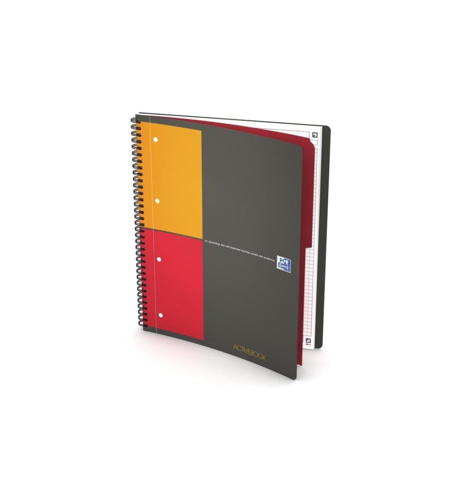 Oxford Carnet de notes International Activebook, A4 +, À carreaux, Gris
