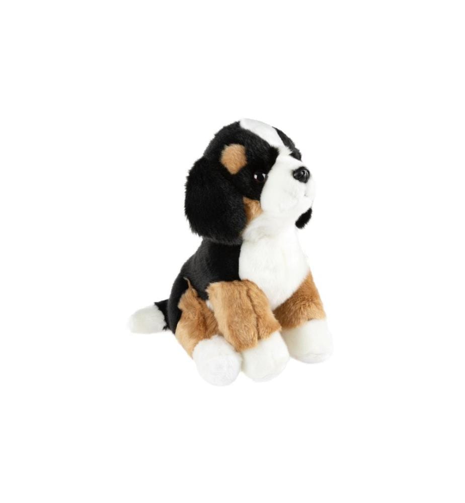 Leo Brummbär - Peluche Bouvier 25 cm