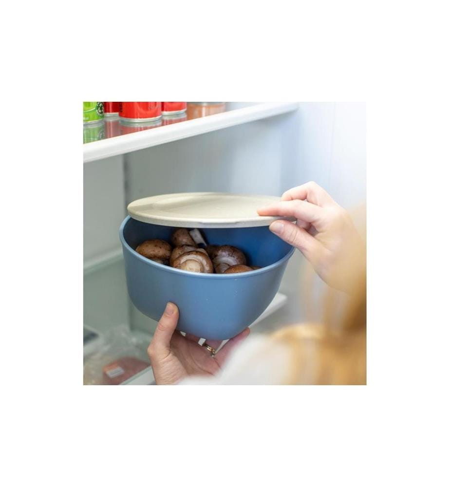 KOZIOL - Boîte à provisions Connect 2 l, Bleu