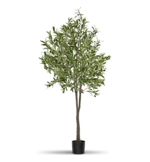 Olivier artificiel OLEAND à l'aspect naturel - 180 cm