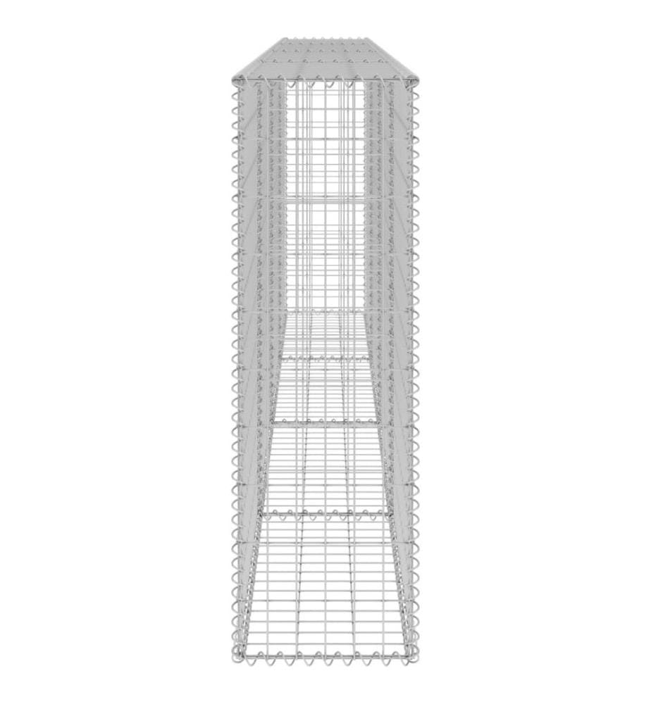 Mur en gabion avec couvercles Acier galvanisé 300x30x100 cm