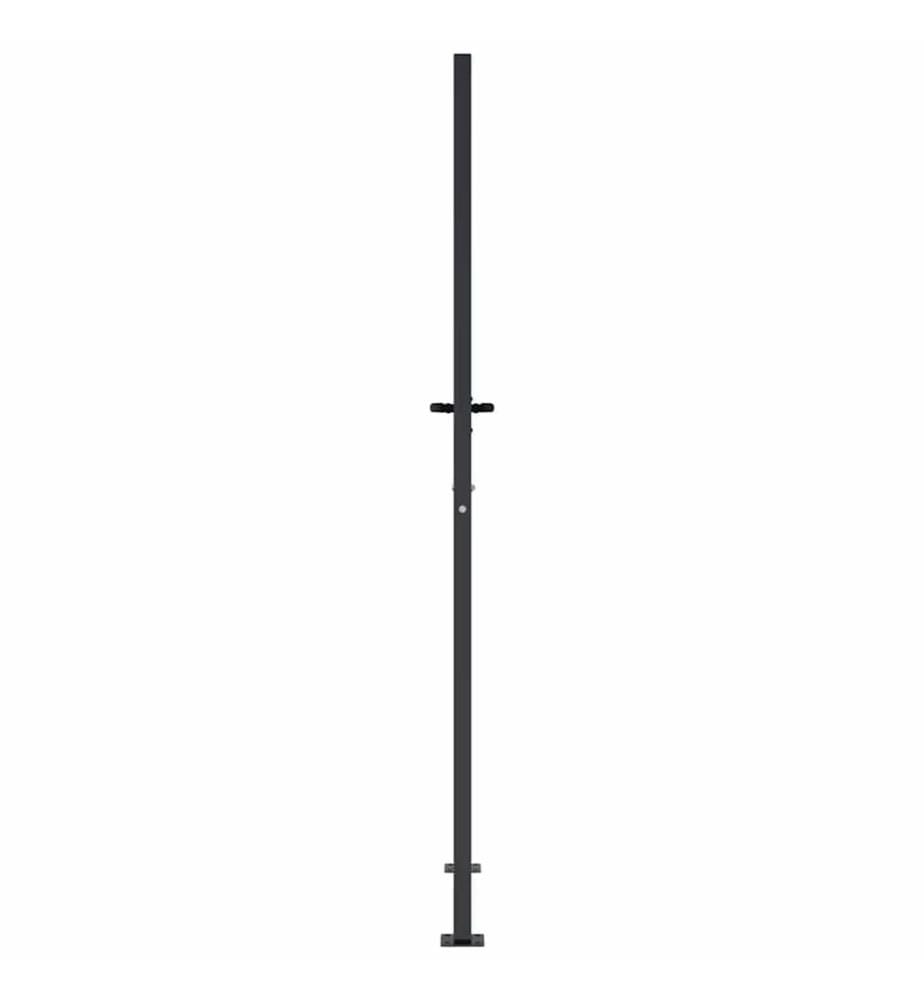Gartentor Anthrazit 100x200 cm Stahl Baum-Design