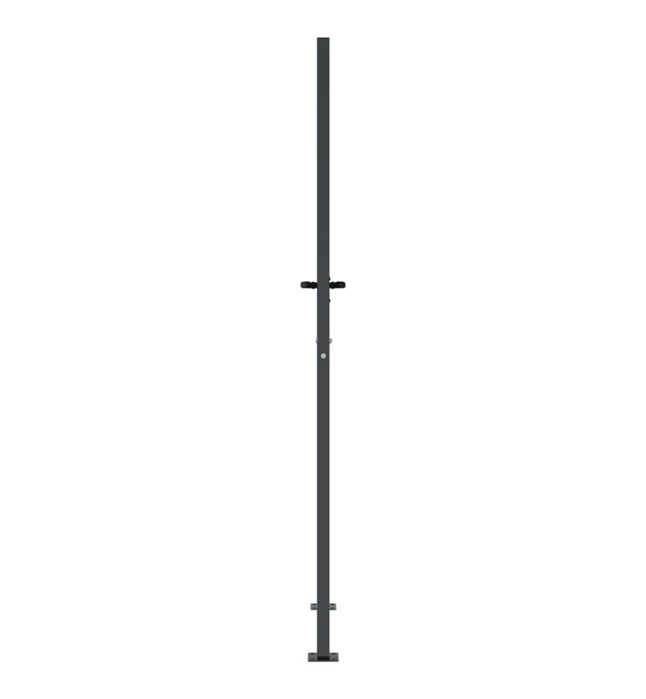 Gartentor Anthrazit 100x175 cm Stahl Gras-Design
