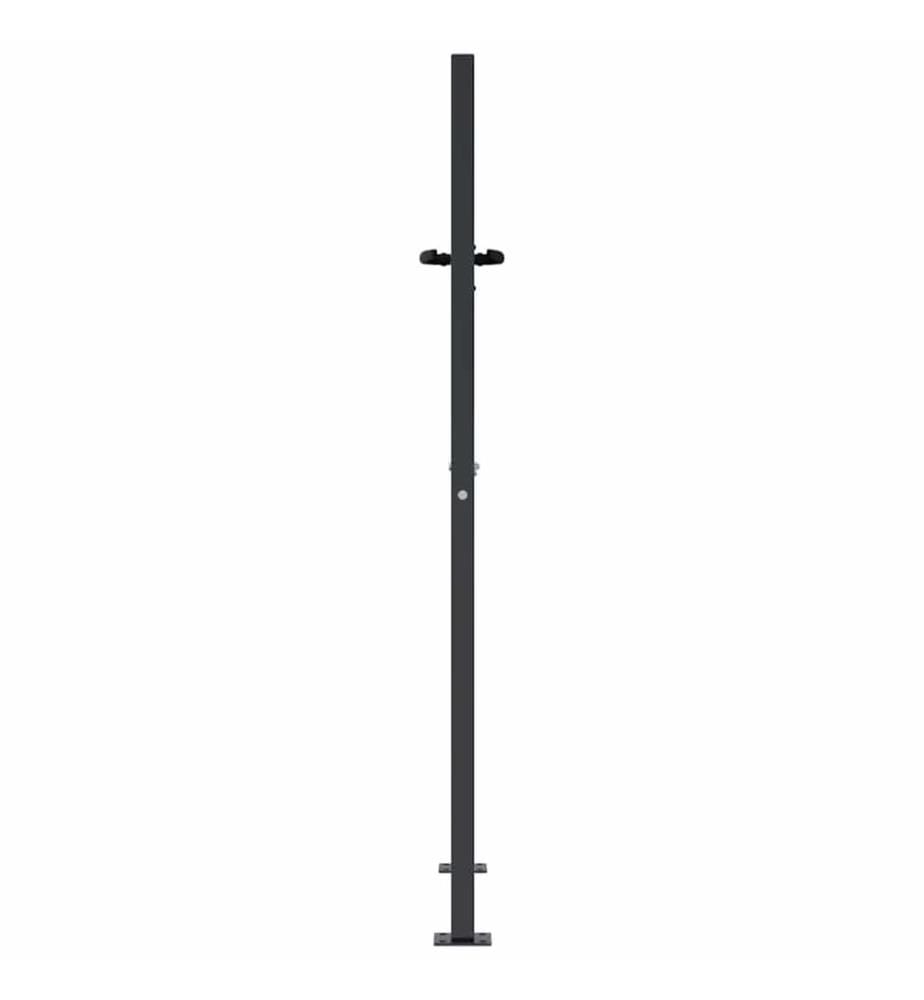 Gartentor Anthrazit 100x150 cm Stahl Bambus-Design