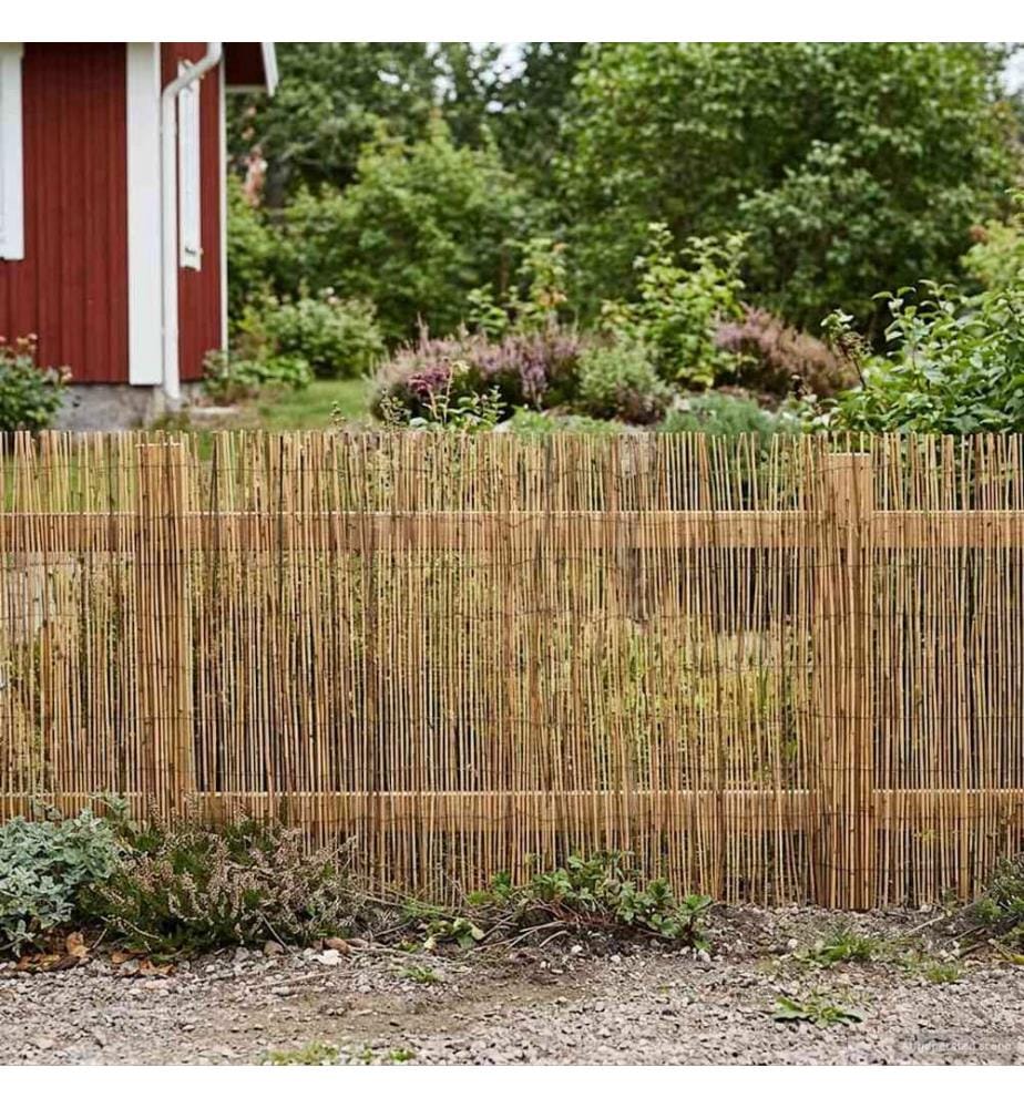 Gartenzaun Kohlenstoff 600 x 100 cm Schilf