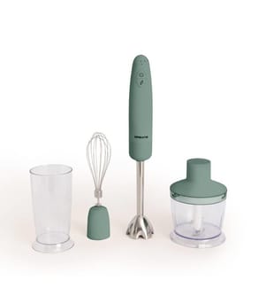 Retro Stabmixer - Salbeigrün