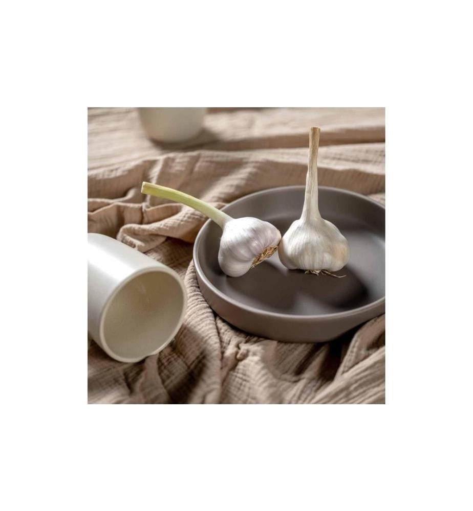 LEONARDO - Frühstücks- & Dessertteller Roma 6 Stück,Taupe