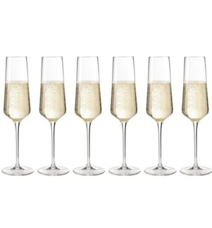 LEONARDO - Sektglas Puccini 280 ml, 6 Stück, Transparent