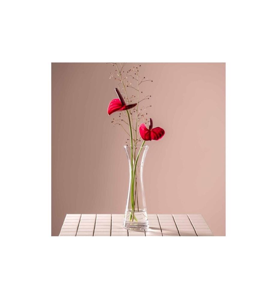 Leonardo vase Gia 26 cm, transparent