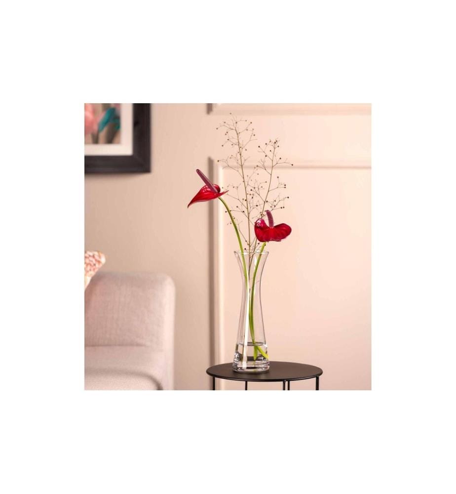 Leonardo vase Gia 26 cm, transparent