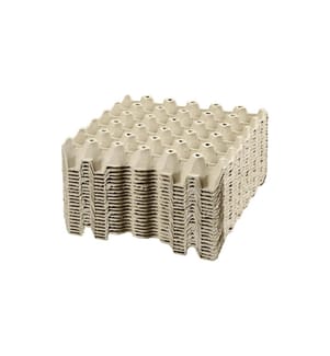 CREATIV COMPANY - Papp-Schachtel Eier 29 x 29 x 4 cm 20 Stück