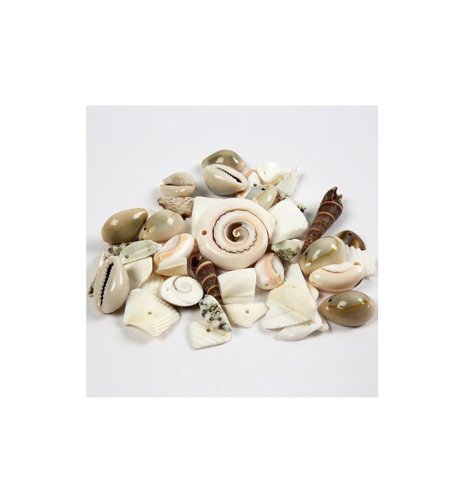 CREATIV COMPANY - Perlen-Set 120 g Strandmuscheln