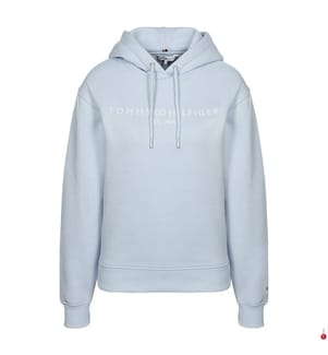 Hoodie Modern Crop Logo - Hellblau
