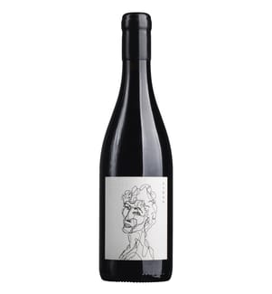 Artline Syrah 2020 - 75 cl
