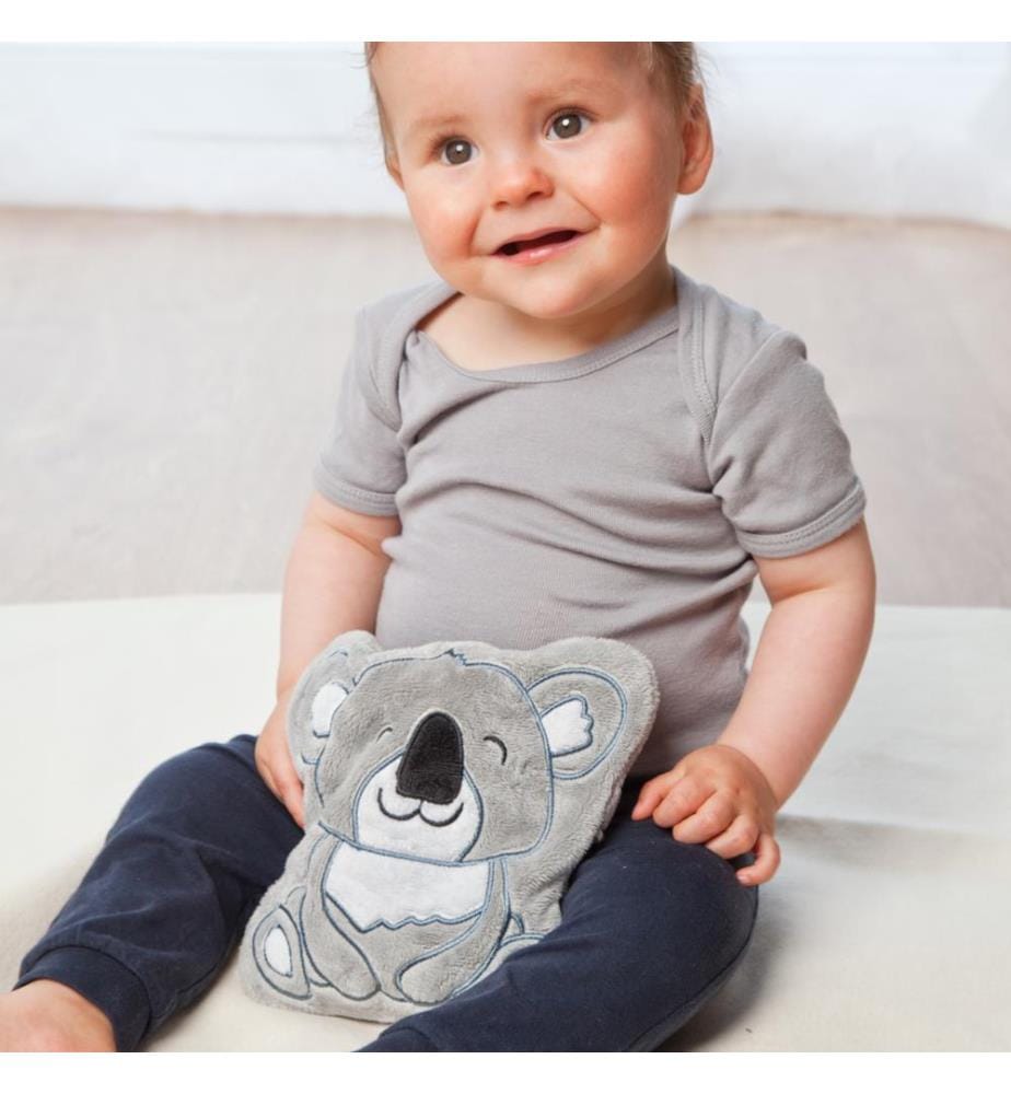 Zoo koala