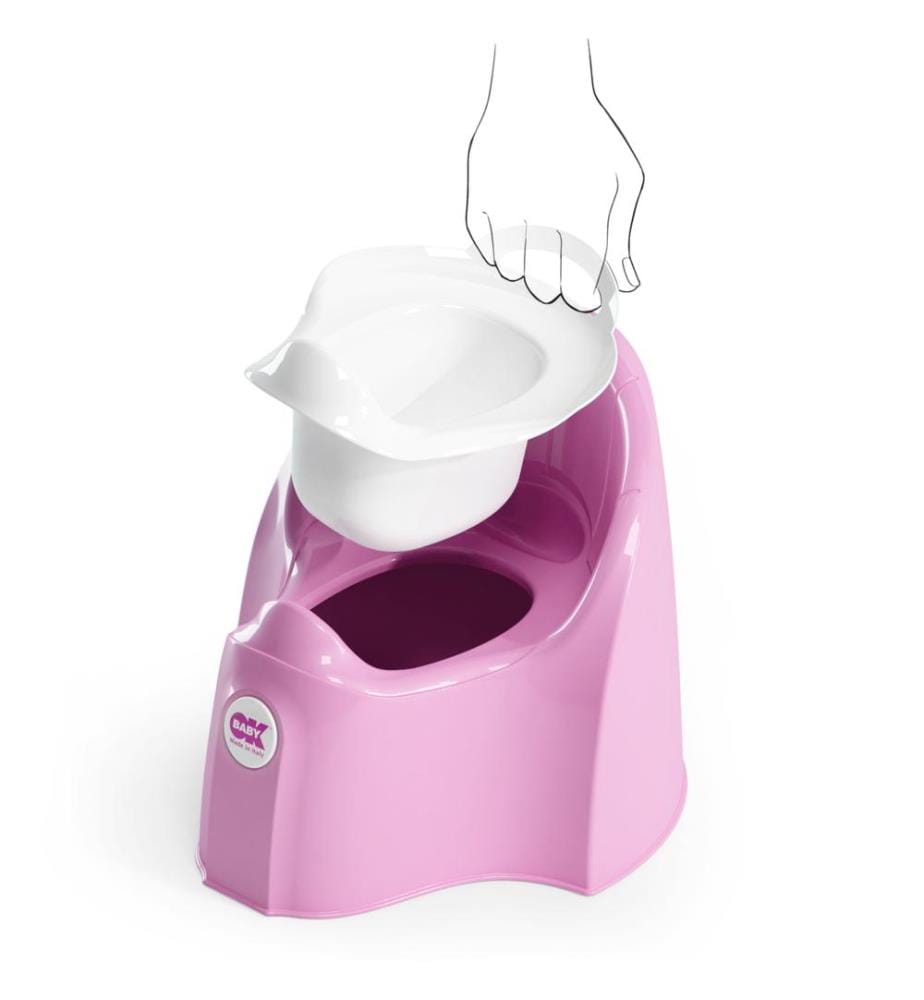 Pot Pasha rose vif