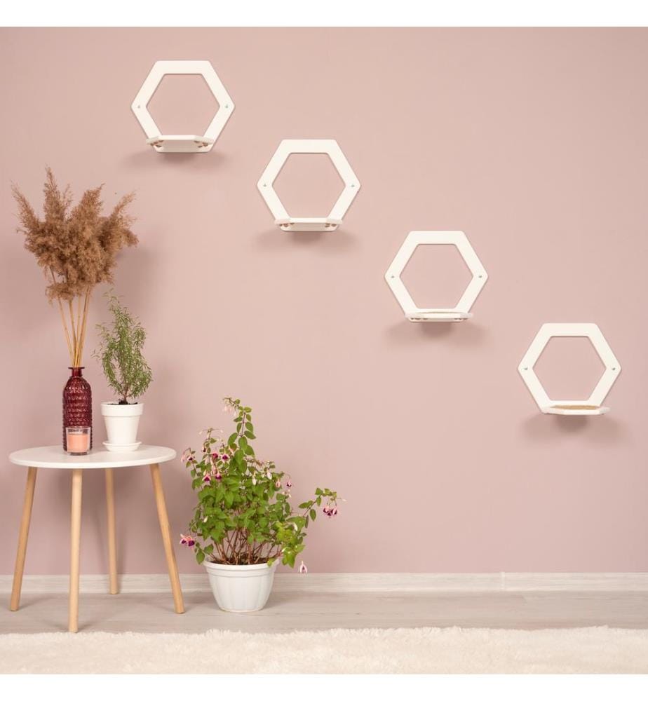 4 marches hexagonales blanc