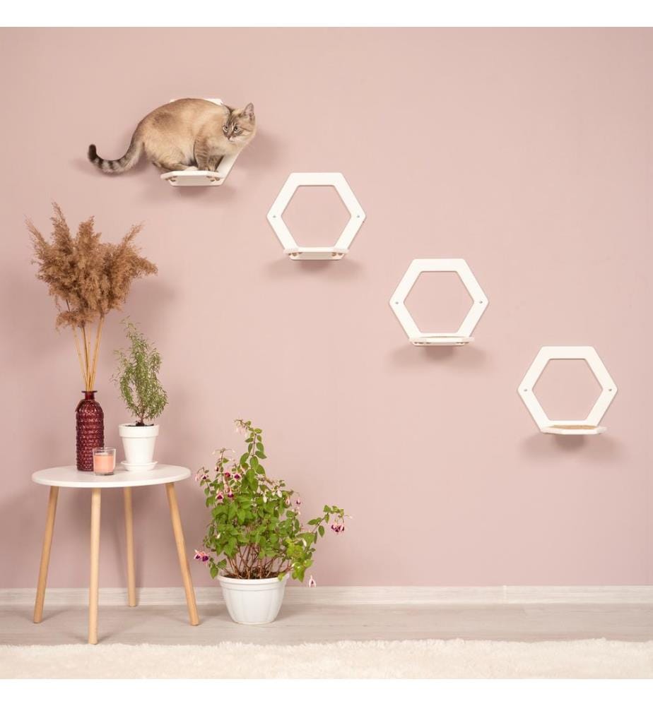 4 marches hexagonales blanc
