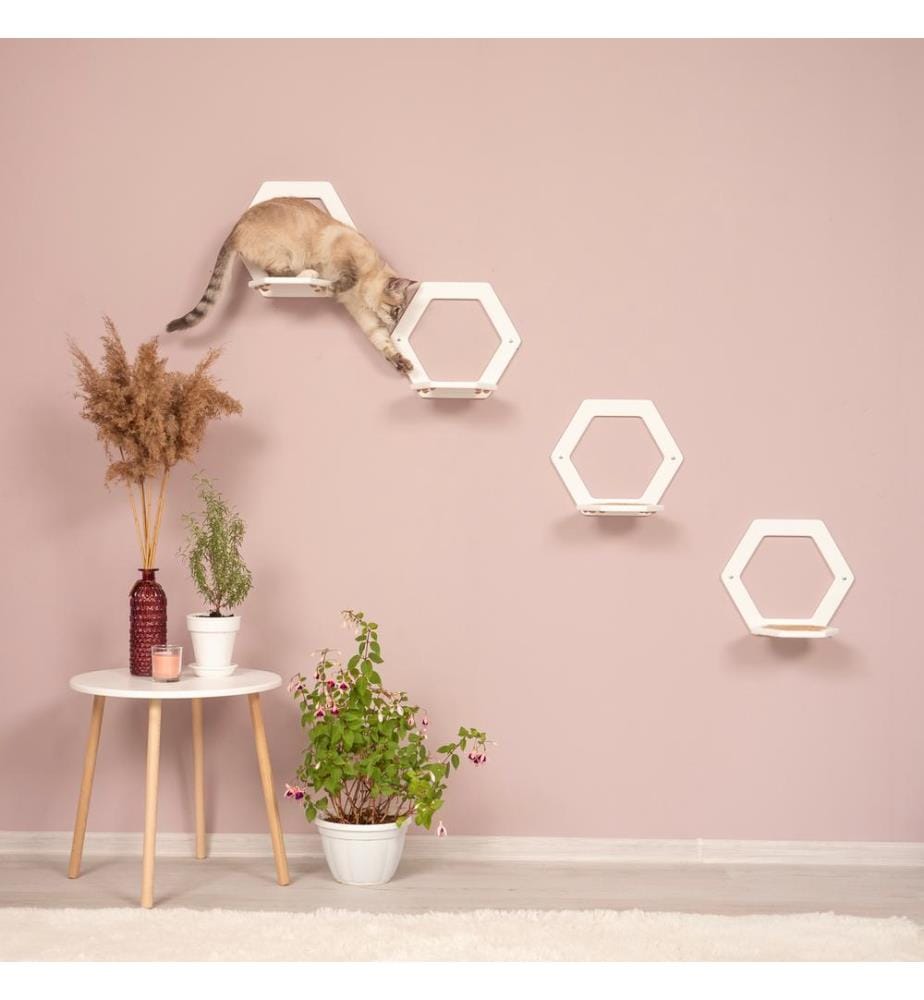 4 marches hexagonales blanc