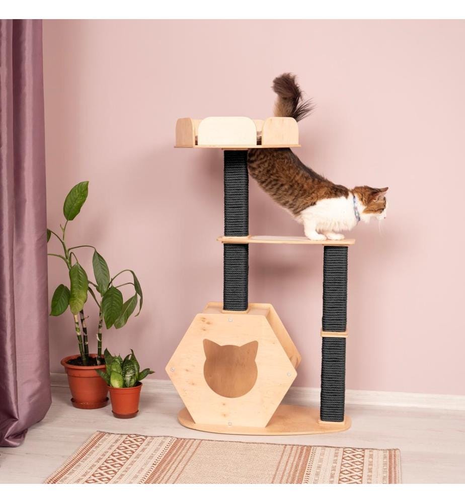 Arbre à chat au sol avec hexagone