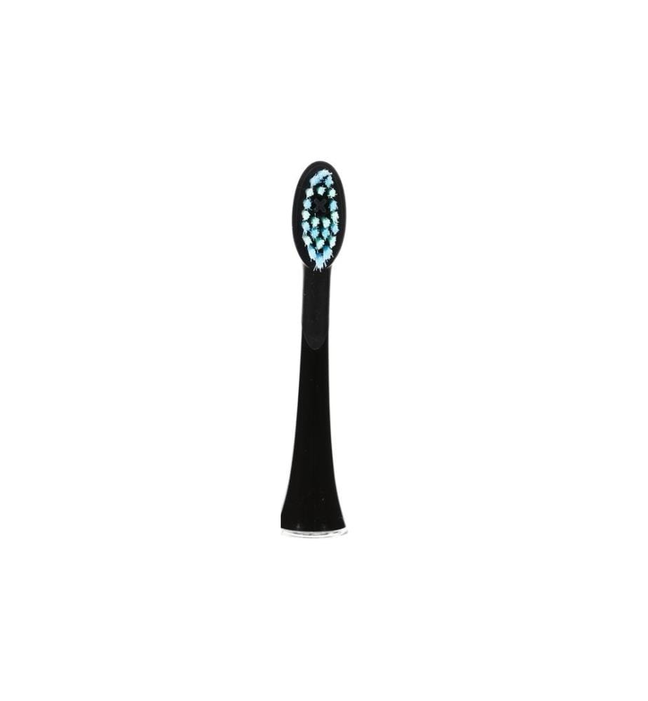 Ailoria - Zahnbürstenkopf Shine Bright Extra Clean Schwarz, 6 Stück
