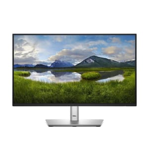 Dell - Moniteur P2225H