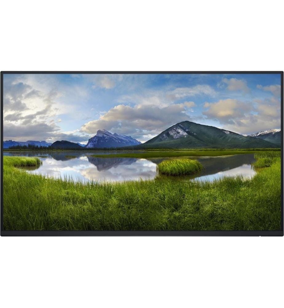Dell - Moniteur P2425H WOST sans pied