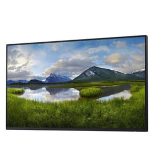 Dell - Moniteur P2725H WOST sans pied